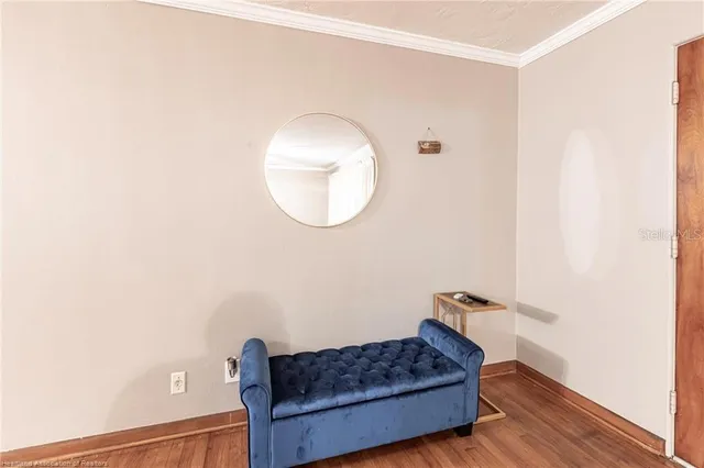 a living room with a couch and a potted plant