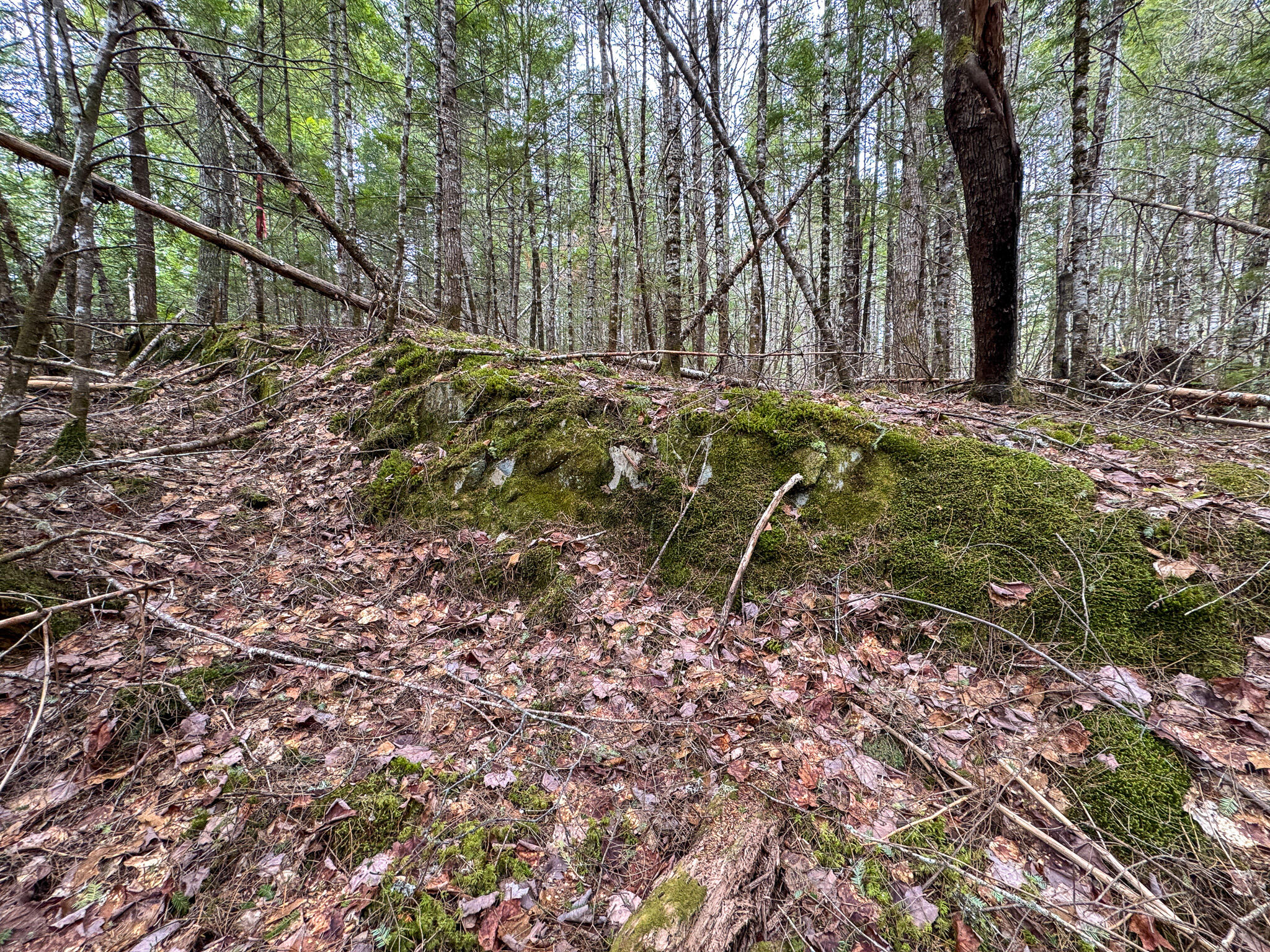 M1-l58.3 Pickerel Pond Road Greenbush, ME 04418 - Photo 14 of 21 14