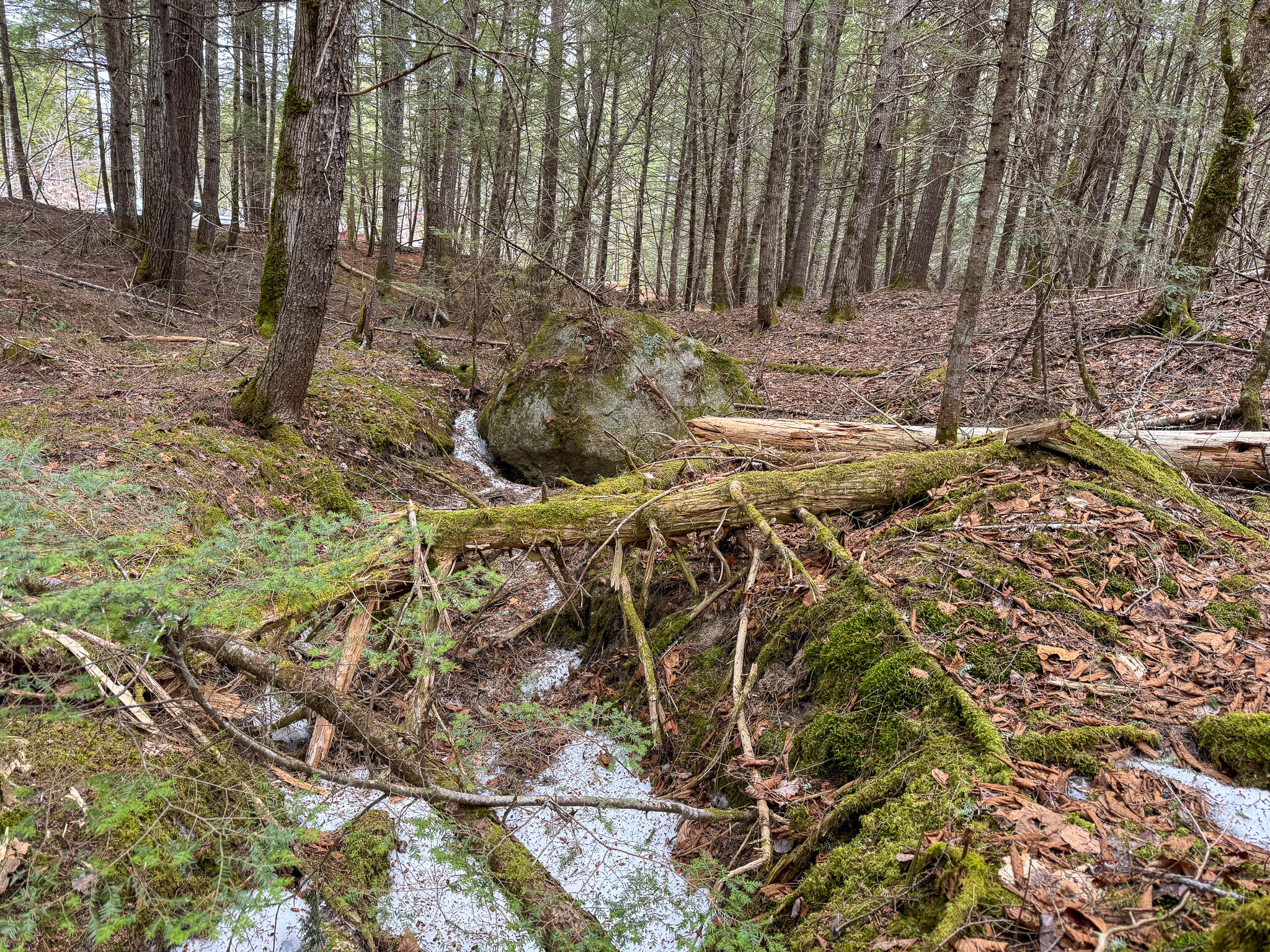 M1-l58.3 Pickerel Pond Road Greenbush, ME 04418 - Photo 16 of 21 16