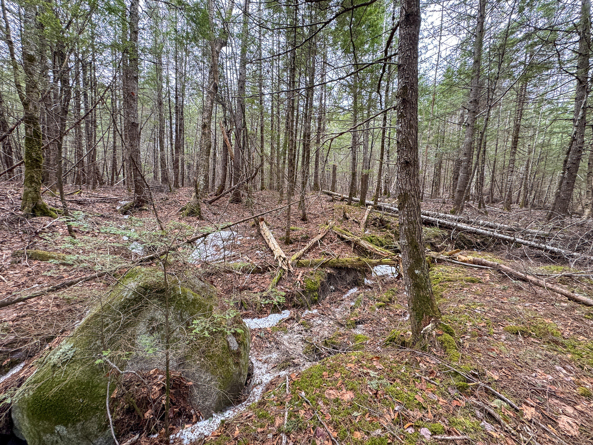 M1-l58.3 Pickerel Pond Road Greenbush, ME 04418 - Photo 17 of 21 17