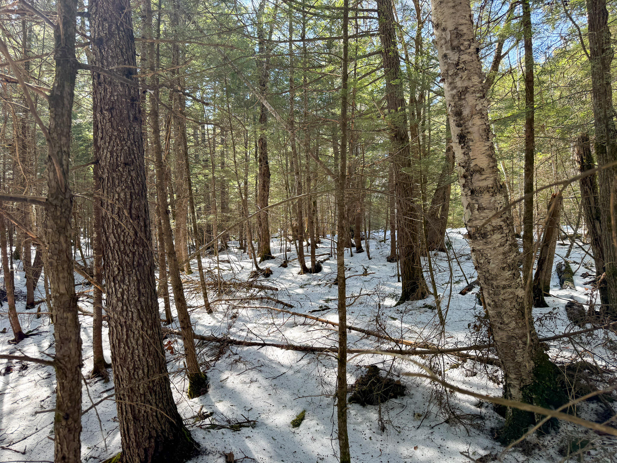 M1-l58.3 Pickerel Pond Road Greenbush, ME 04418 - Photo 21 of 21 21