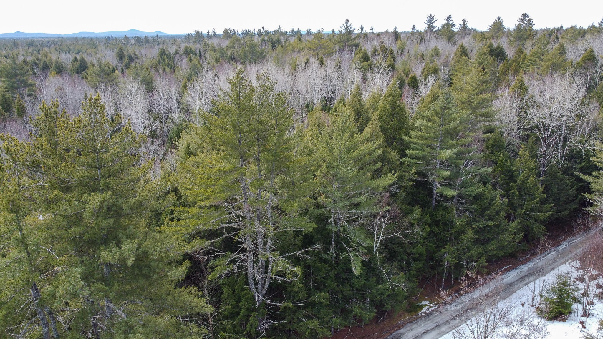 M1-l58.3 Pickerel Pond Road Greenbush, ME 04418 - Photo 3 of 21 3