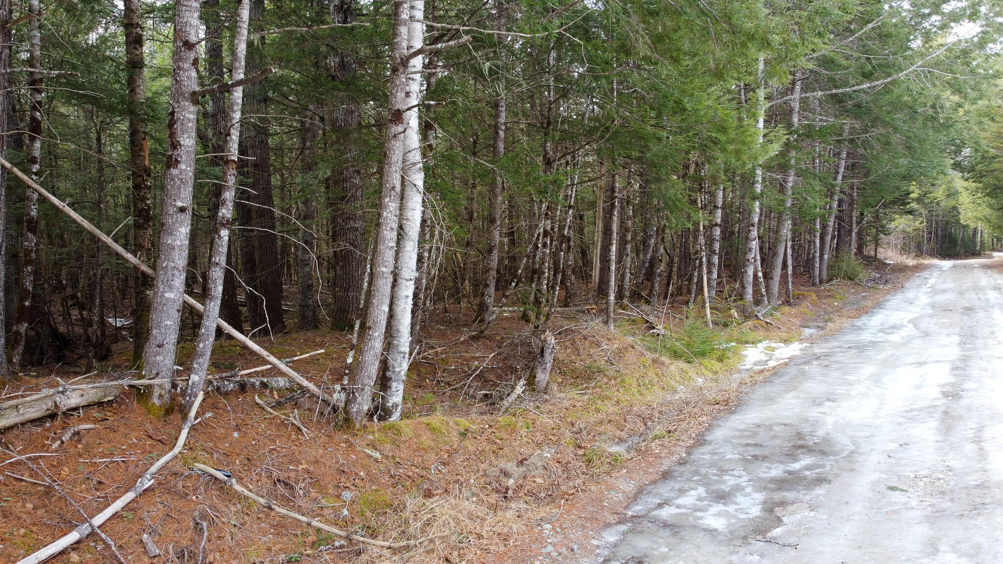 M1-l58.3 Pickerel Pond Road Greenbush, ME 04418 - Photo 4 of 21 4