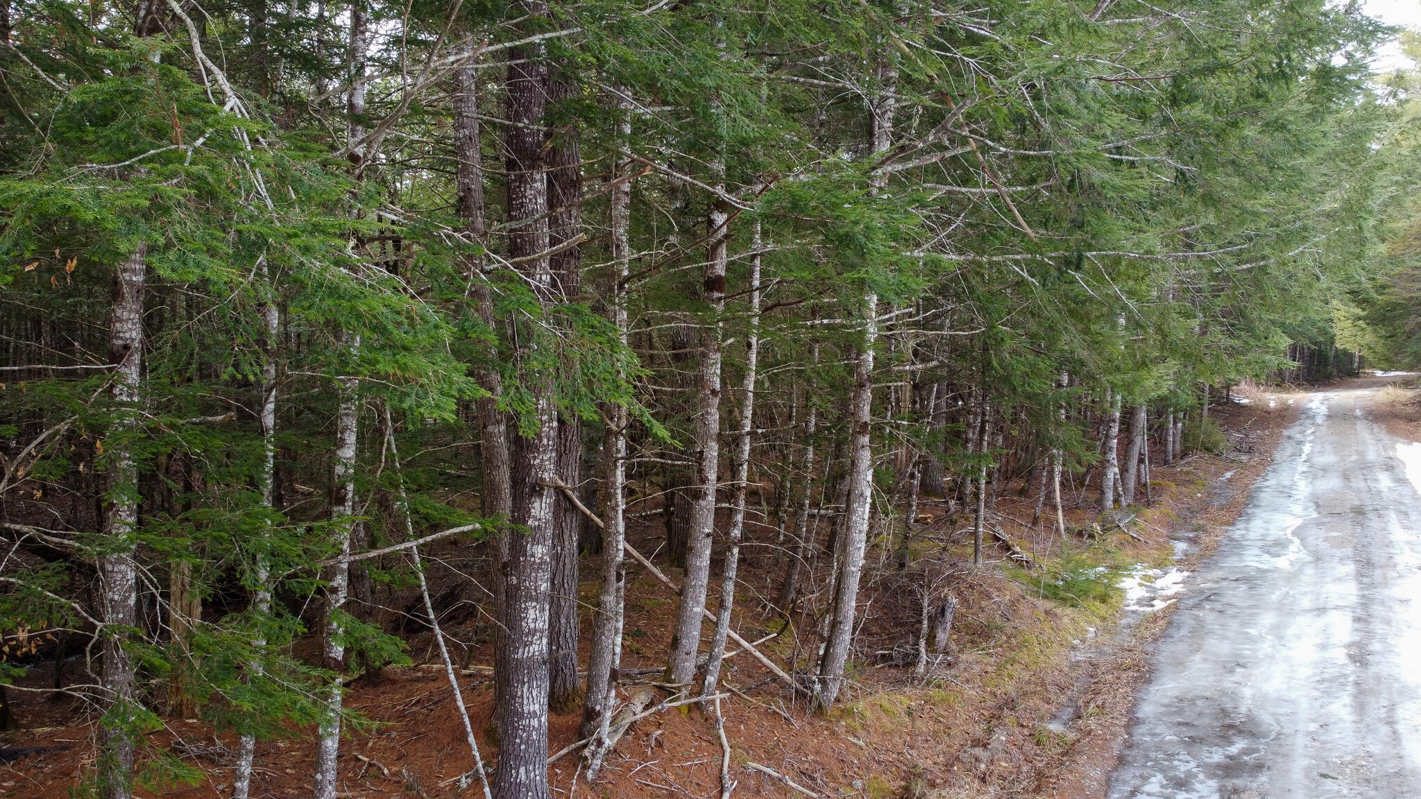 M1-l58.3 Pickerel Pond Road Greenbush, ME 04418 - Photo 5 of 21 5