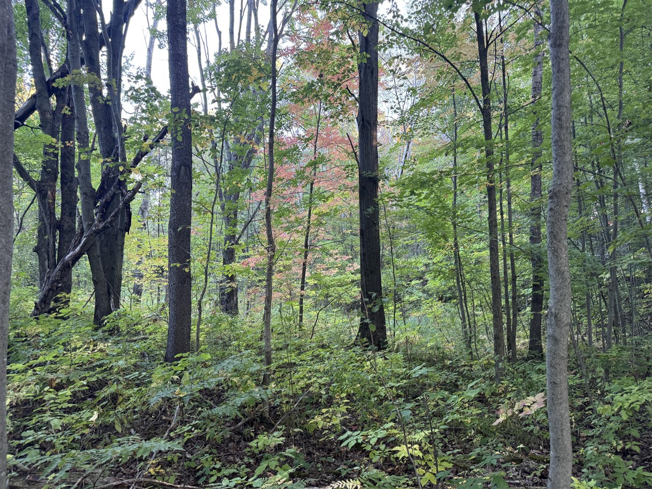 15 15 Mile Road Leroy, MI 49655 - Photo 13 of 14