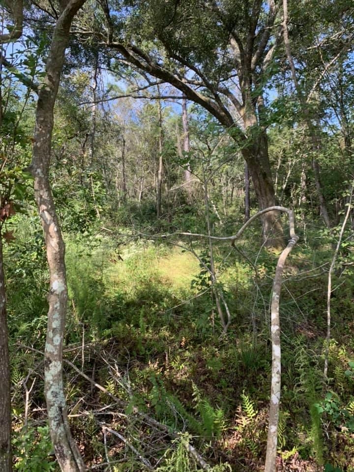 26348 Feely Road Elberta, AL 36530 - Photo 23 of 43