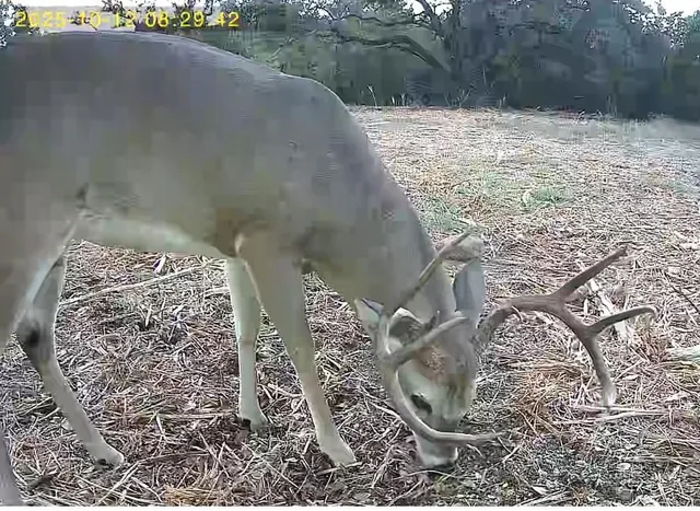 a view of water heater room