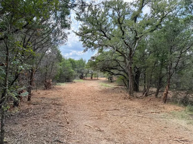a view of dirt yard with trees