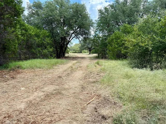 a view of backyard with large trees