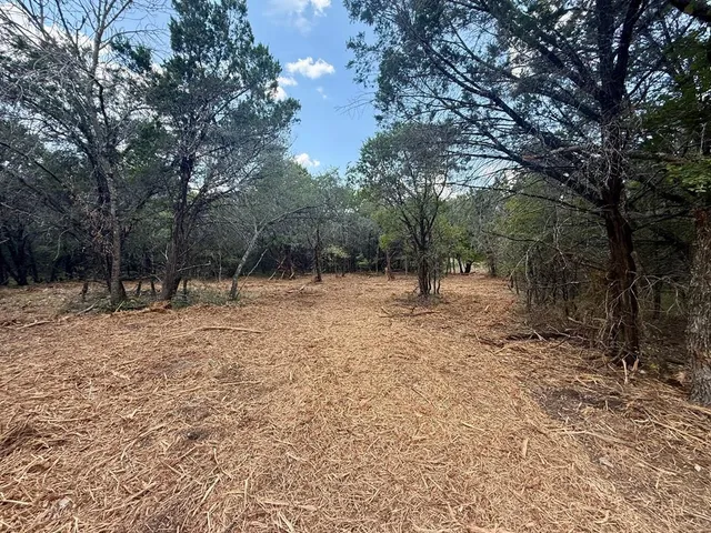 a view of outdoor space with trees