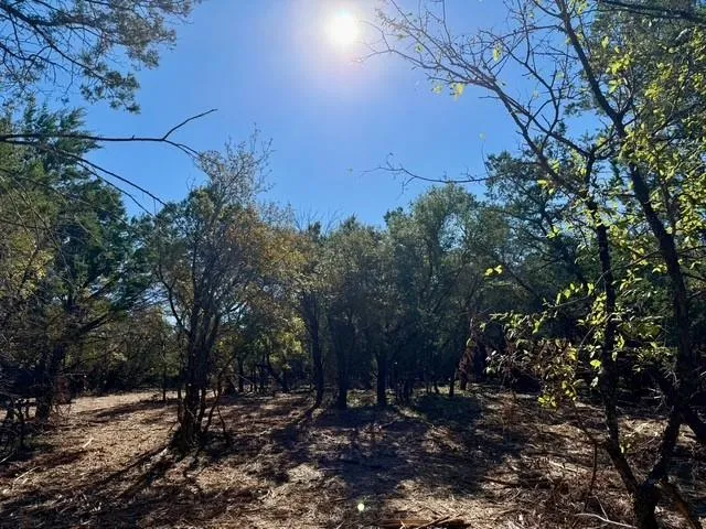 a view of an outdoor space with yard