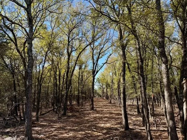 a view of outdoor space