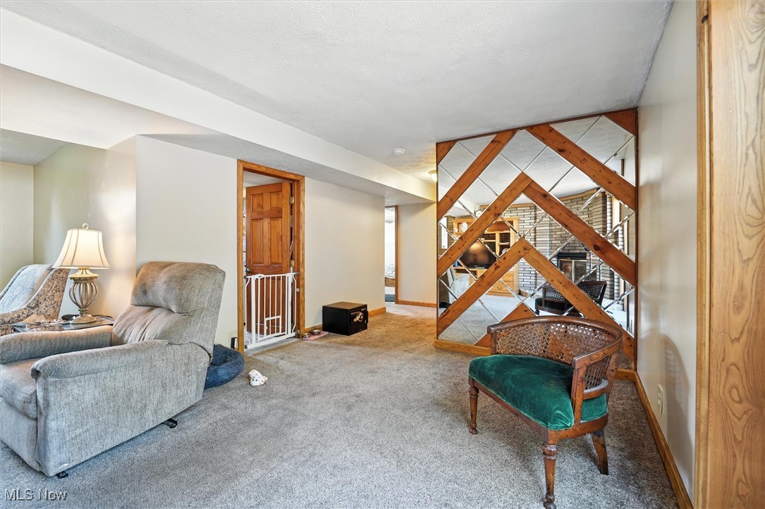 15744 Rock Creek Road Thompson, OH 44086 - Photo 31 of 38 Gallery Image 31