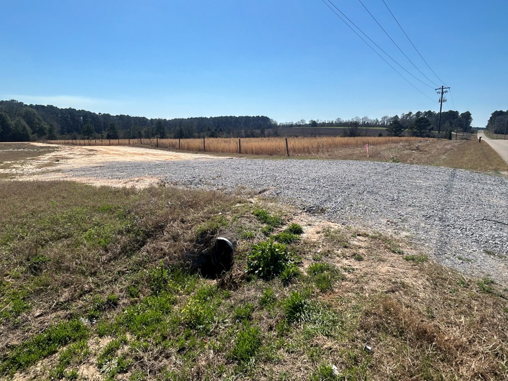 15-ac Webb Road Dothan, AL 36301 - Photo 10 of 33