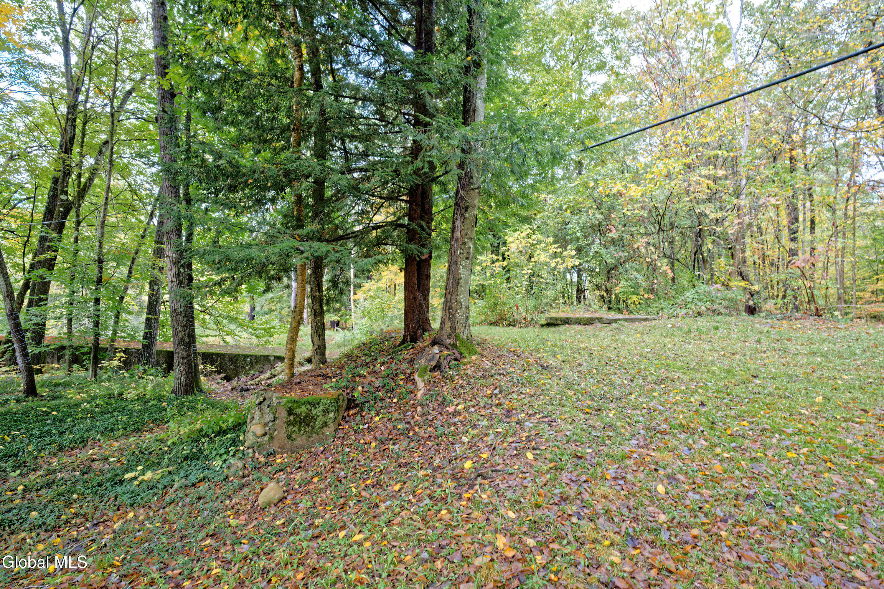 255 West Milton Road Milton, NY 12863 - Photo 36 of 49 Yard 3