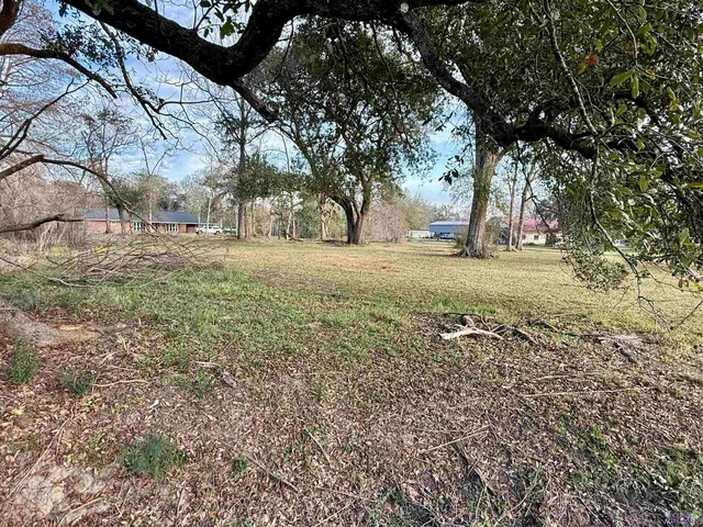 $80,000 | 1.14-acres Savoy Road, St. Amant, LA 70774