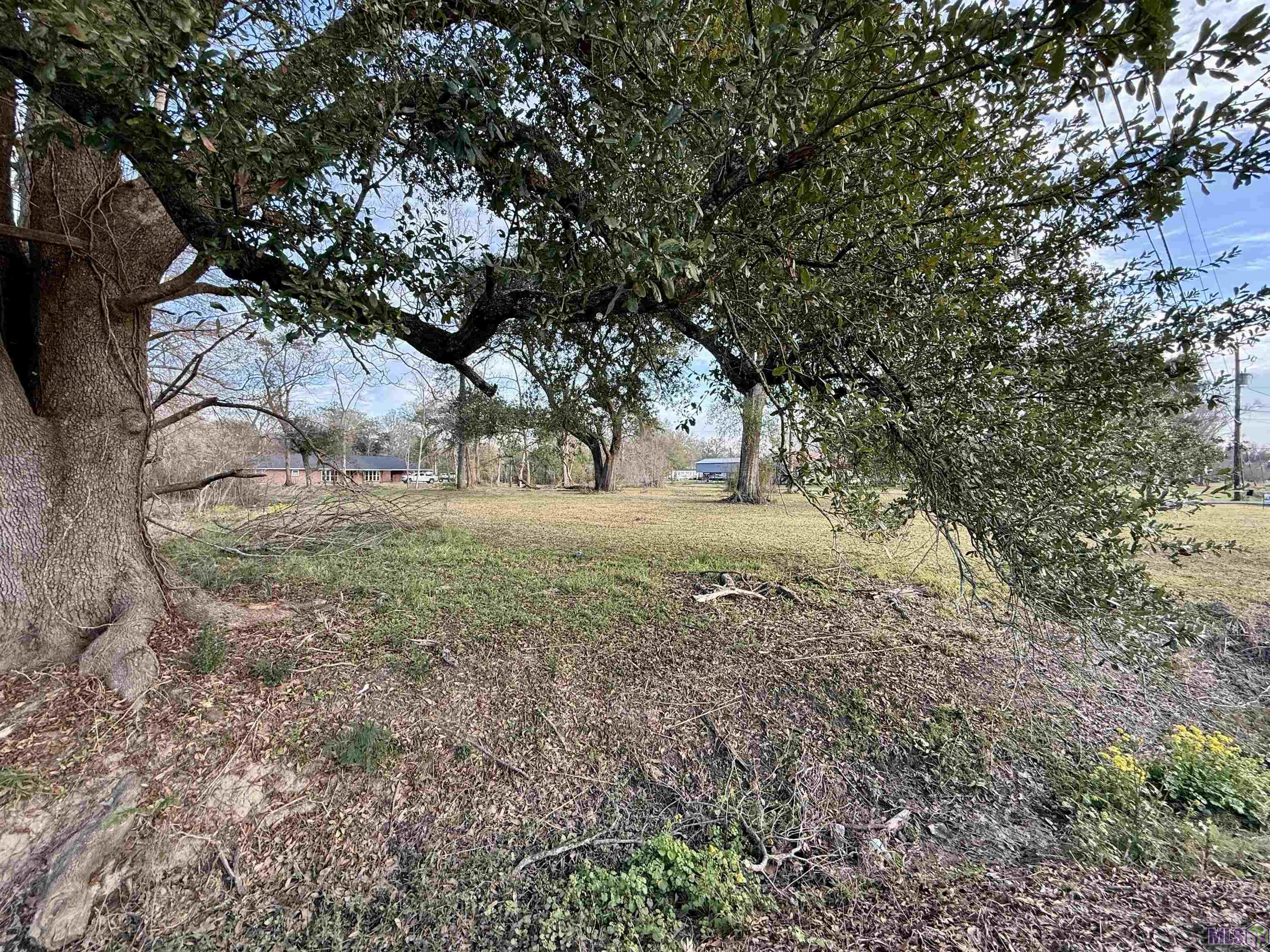 1.14-acres Savoy Road St. Amant, LA 70774 - Photo 2 of 4