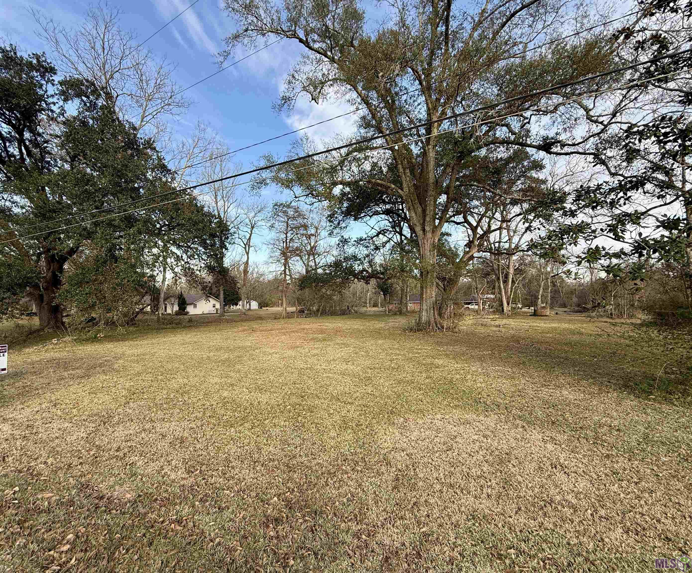 1.14-acres Savoy Road St. Amant, LA 70774 - Photo 3 of 4