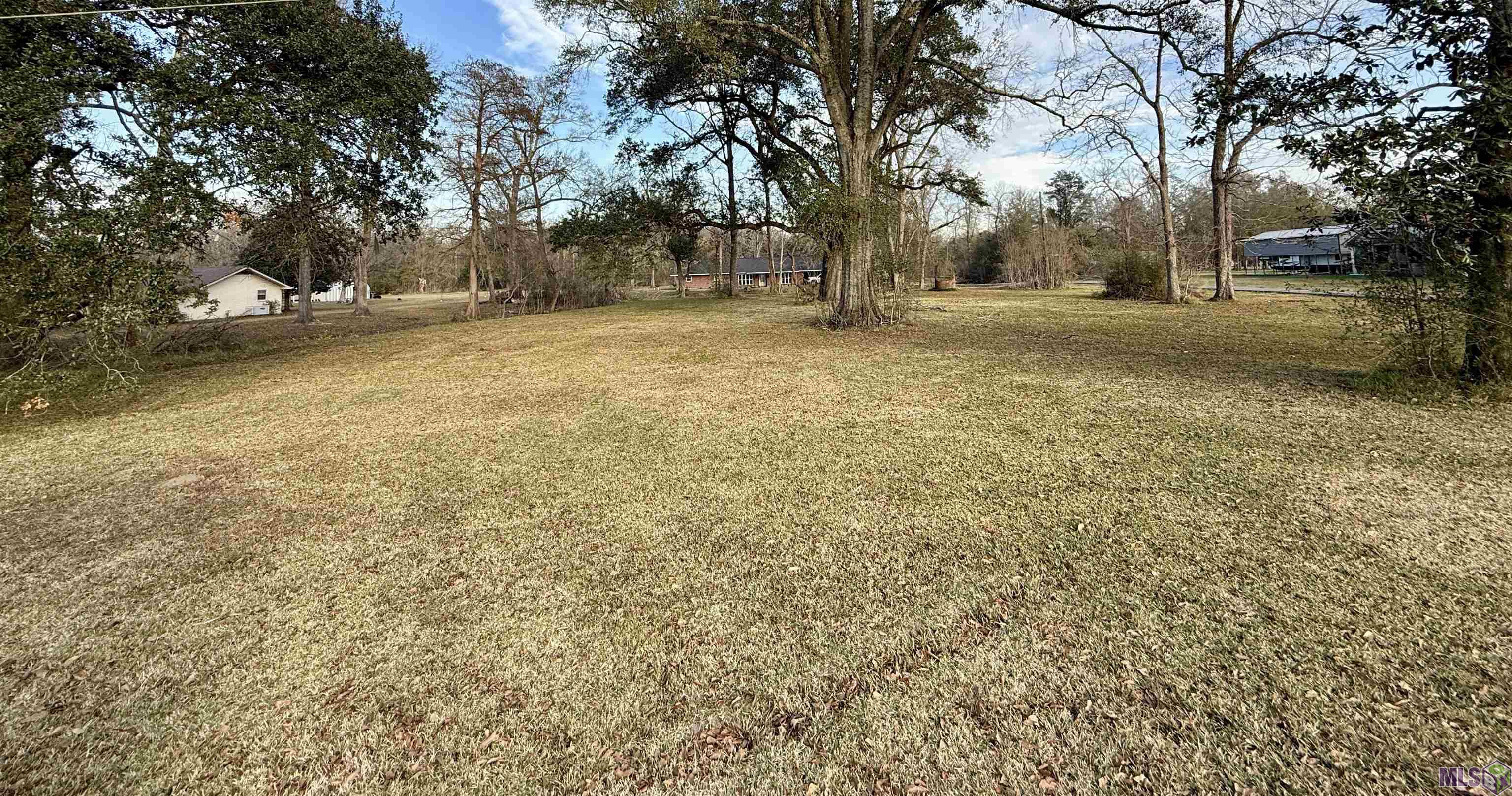 1.14-acres Savoy Road St. Amant, LA 70774 - Photo 4 of 4