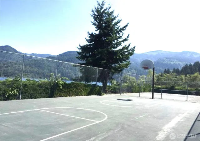 a view of a swimming pool with a yard