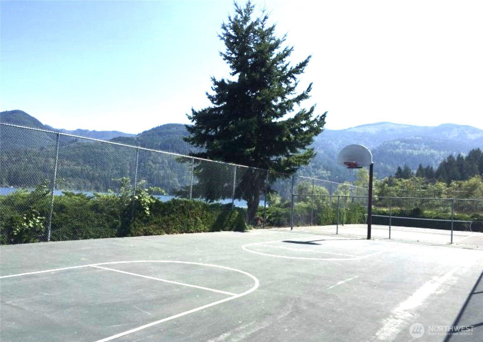 39 Stable Lane Bellingham, WA 98229 - Photo 9 of 13 a view of a white house with a small yard and plants