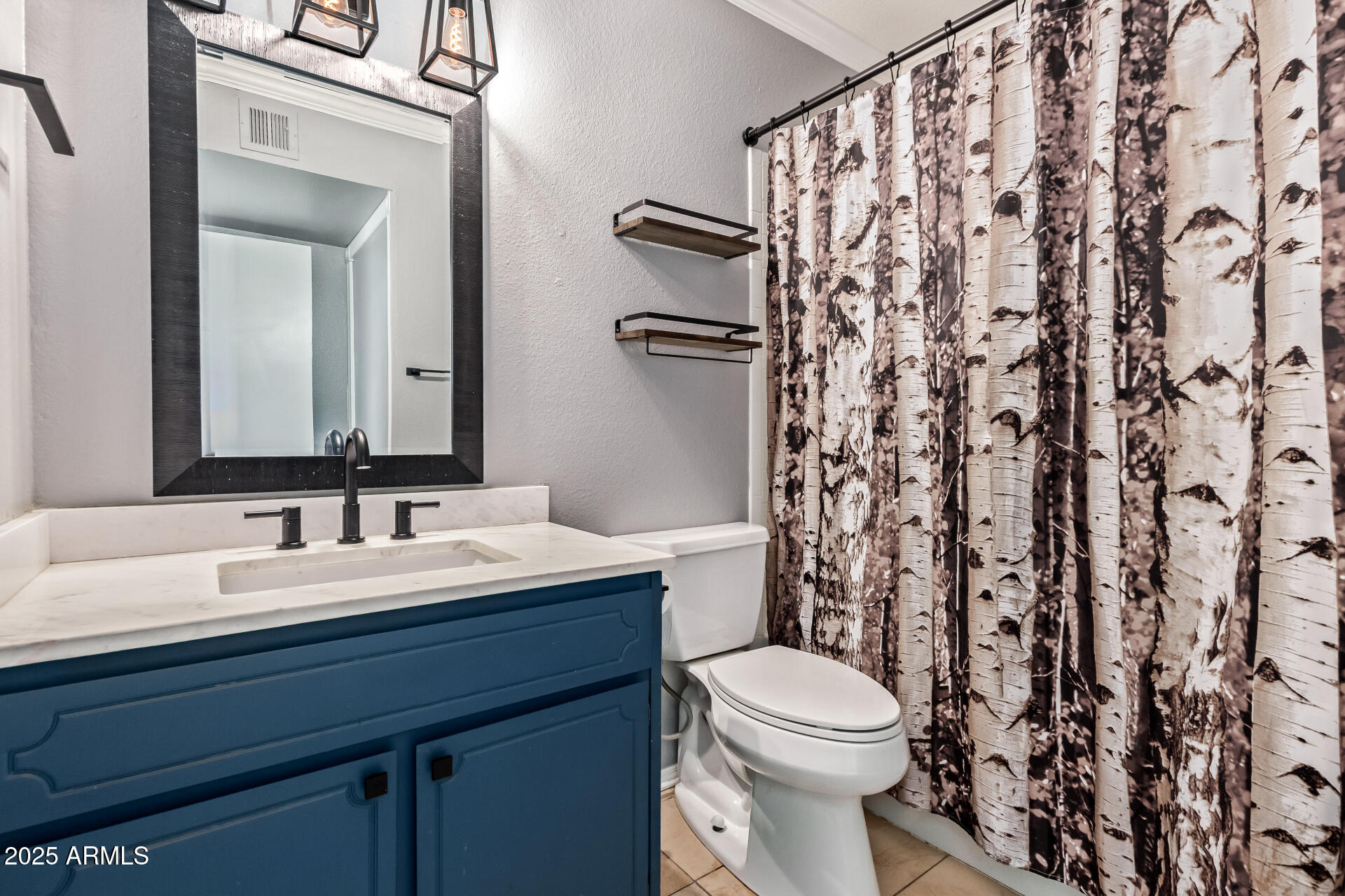 9266 East Quarterline Road Mesa, AZ 85207 - Photo 24 of 31 a bathroom with a granite countertop sink a toilet and a mirror