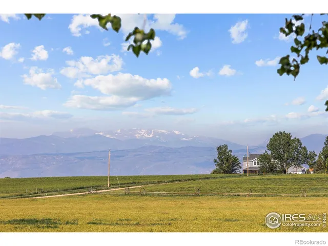 a view of a big yard with wooden fence