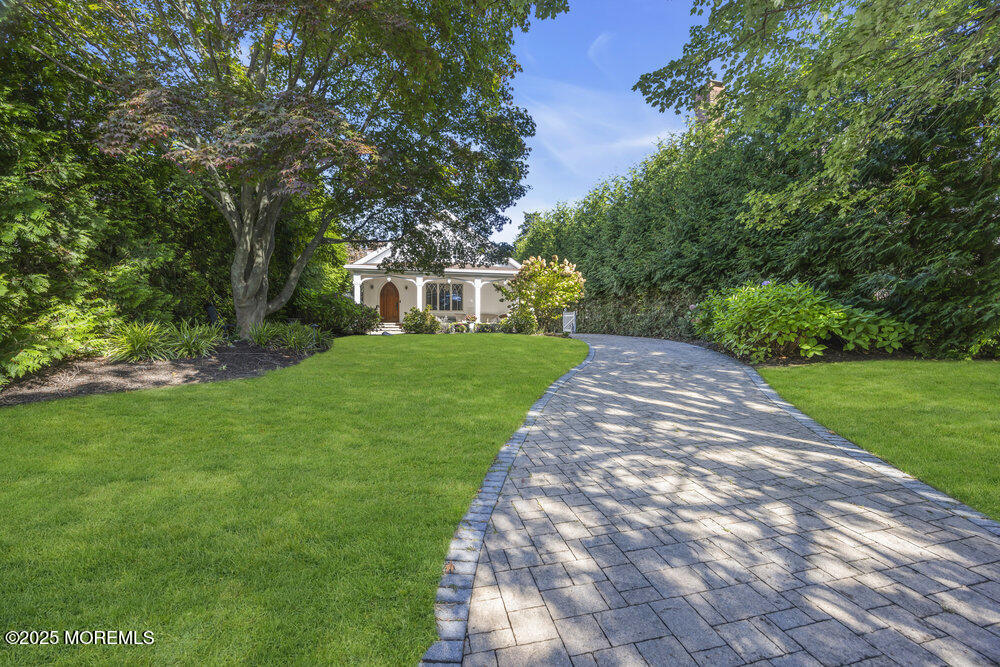 412 Brighton Avenue Spring Lake, NJ 07762 - Photo 50 of 56 a view of a yard with plants and large trees