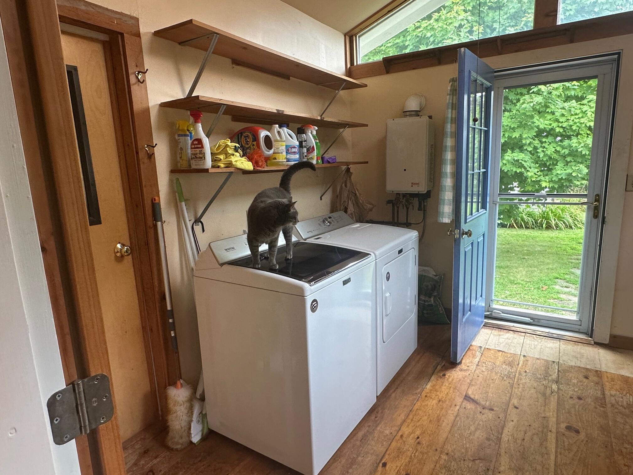 111 Pound Hill Road Northport, ME 04849 - Photo 23 of 35 IMG_6672