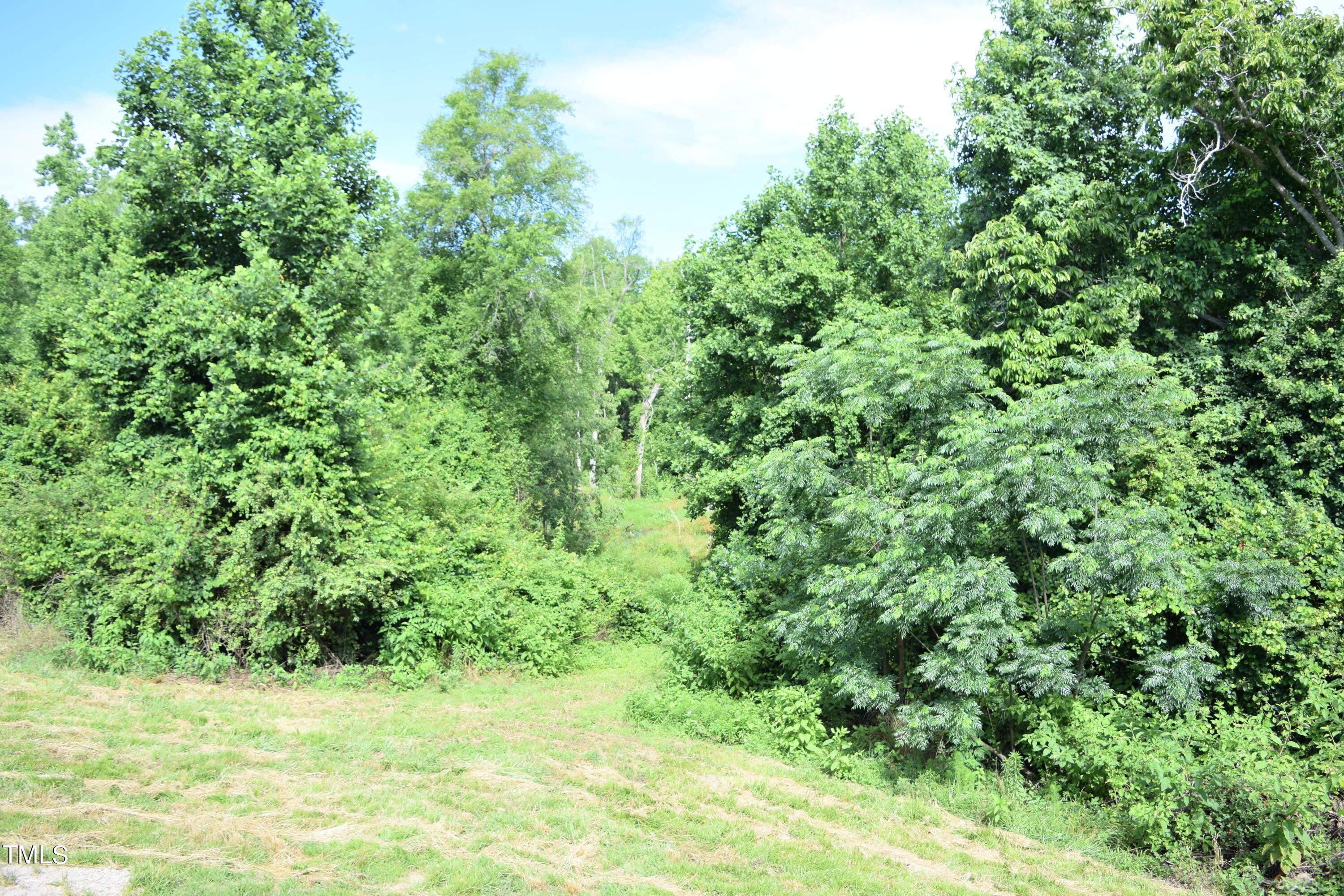 4370 Needham Road Bailey, NC 27807 - Photo 38 of 41 a view of a yard with a plant