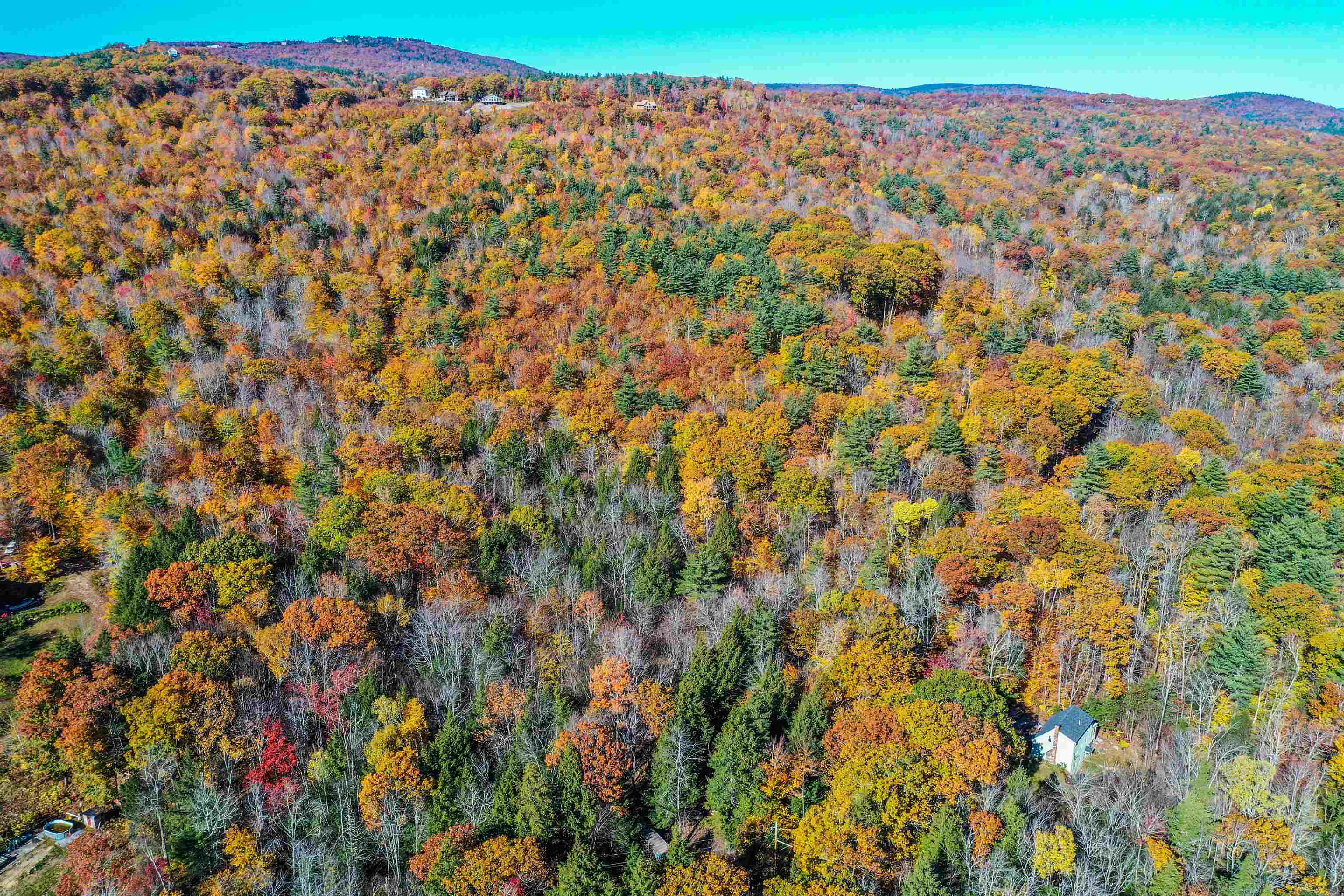 Lot 3 Cheney Road Newbury, NH 03255 - Photo 7 of 9 Gallery Image 7