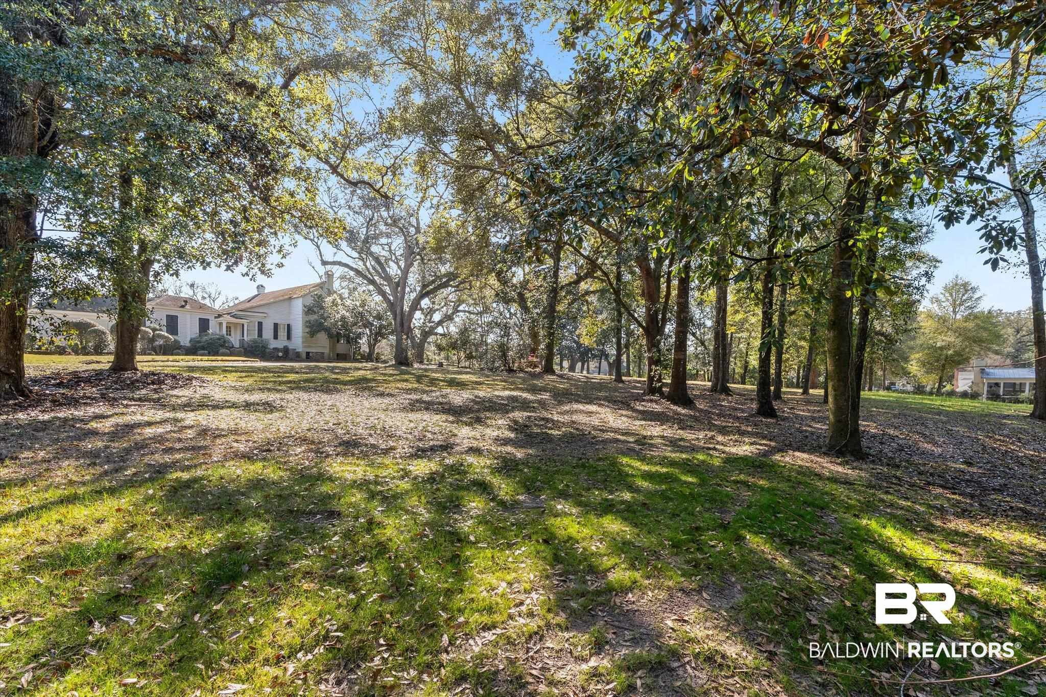 0 Austill Place Mobile, AL 36608 - Photo 11 of 14 View of yard