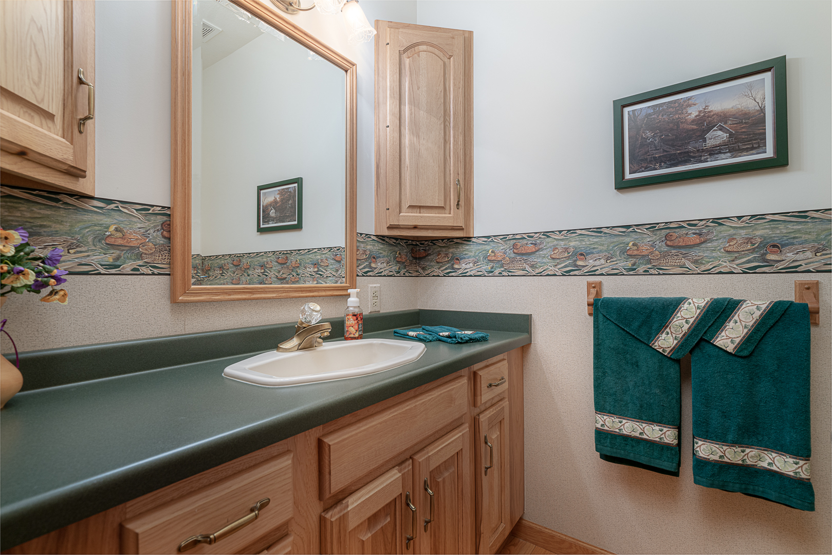 1901 Wildcat Road Dixon, IL 61021 - Photo 13 of 49 a bathroom with a sink and a mirror