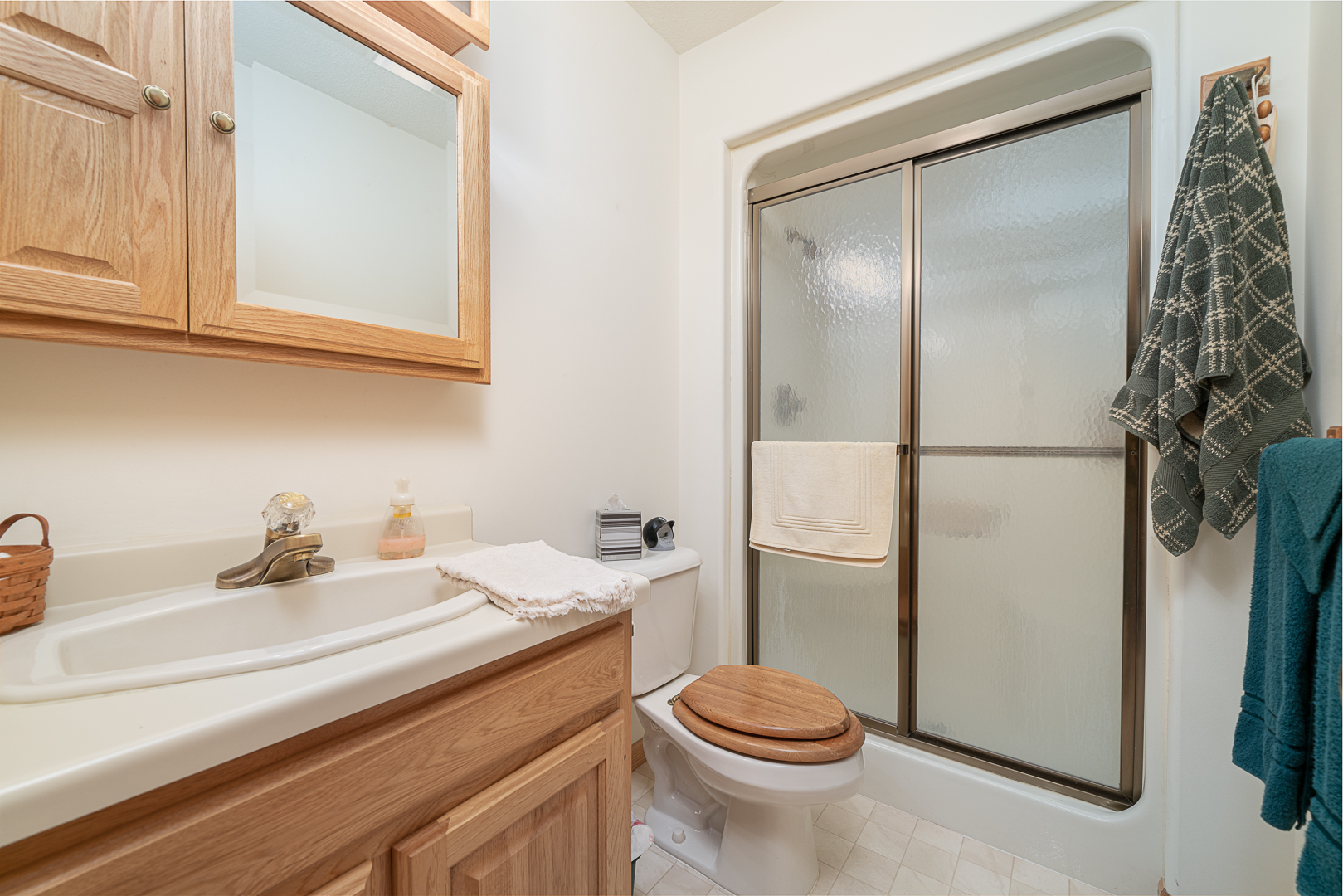 1901 Wildcat Road Dixon, IL 61021 - Photo 24 of 49 a bathroom with a sink a toilet and shower