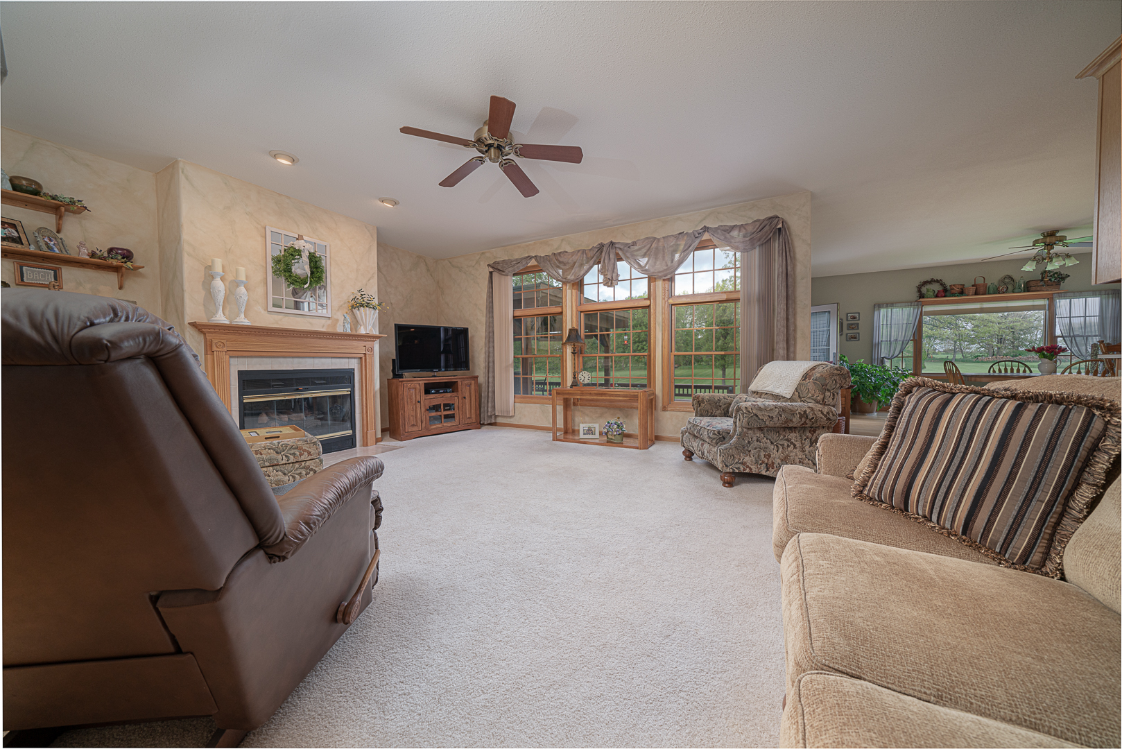 1901 Wildcat Road Dixon, IL 61021 - Photo 7 of 49 a living room with furniture ceiling fan and a fireplace