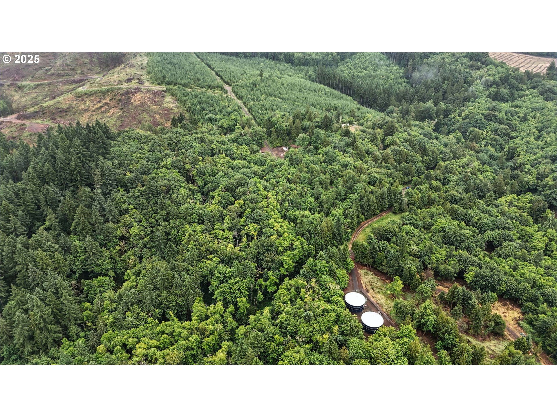 Tybren Heights Road Kelso, WA 98626 - Photo 11 of 28