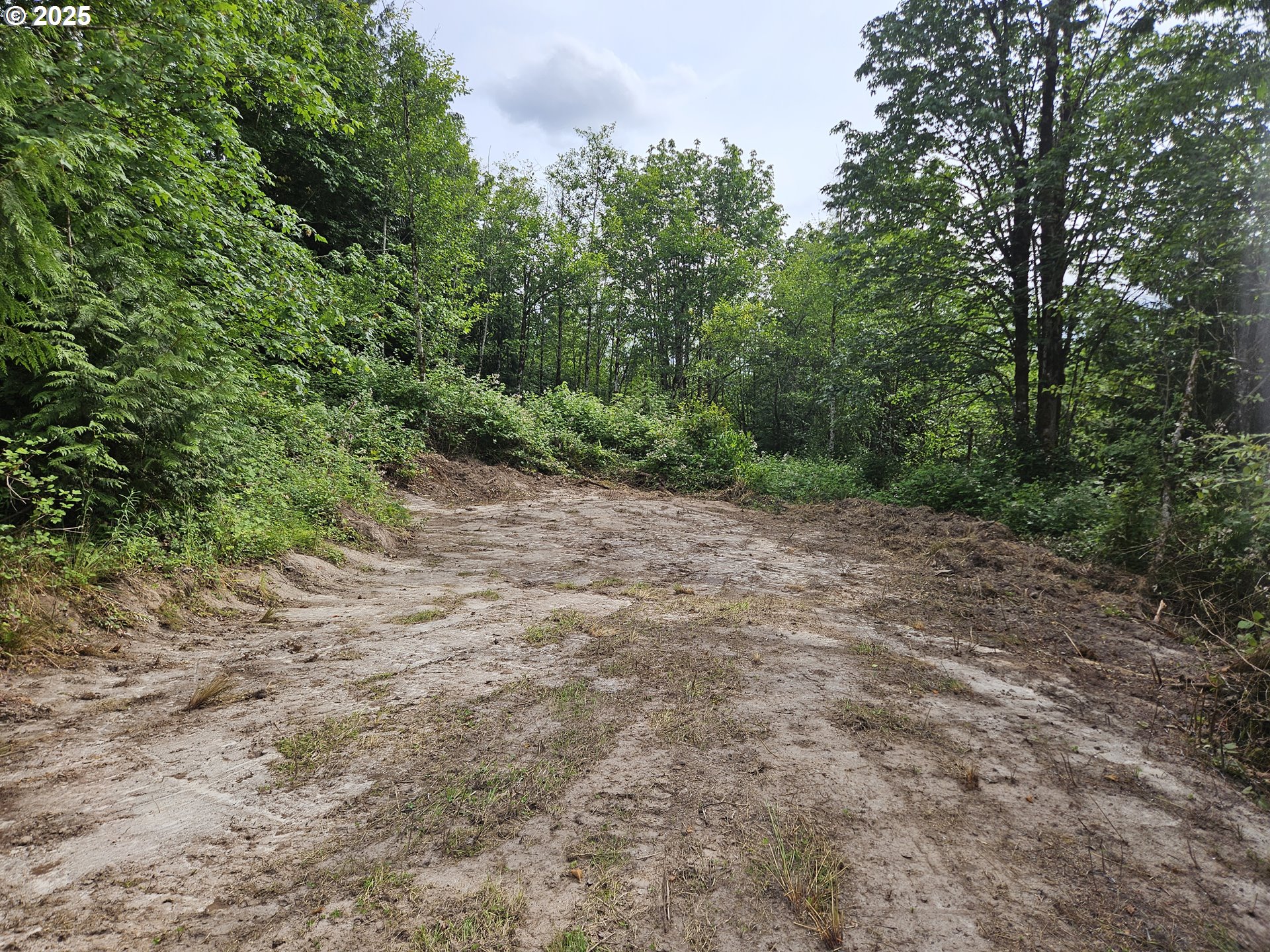 Tybren Heights Road Kelso, WA 98626 - Photo 18 of 28