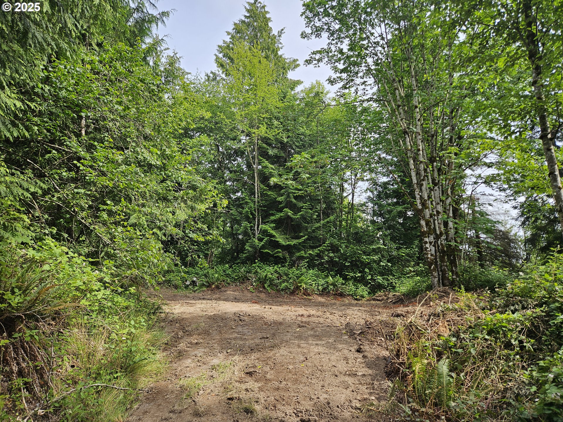 Tybren Heights Road Kelso, WA 98626 - Photo 20 of 28