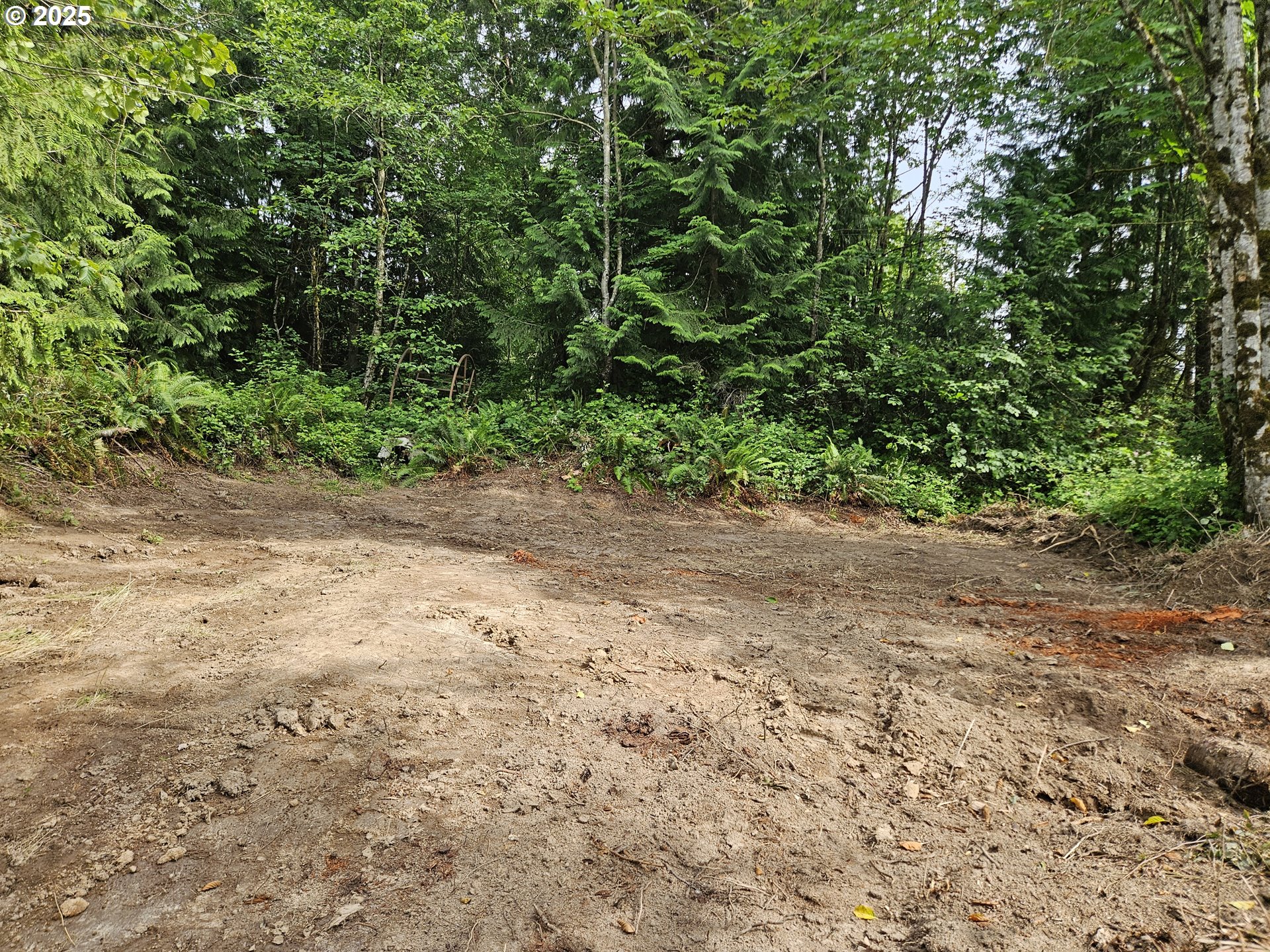 Tybren Heights Road Kelso, WA 98626 - Photo 21 of 28