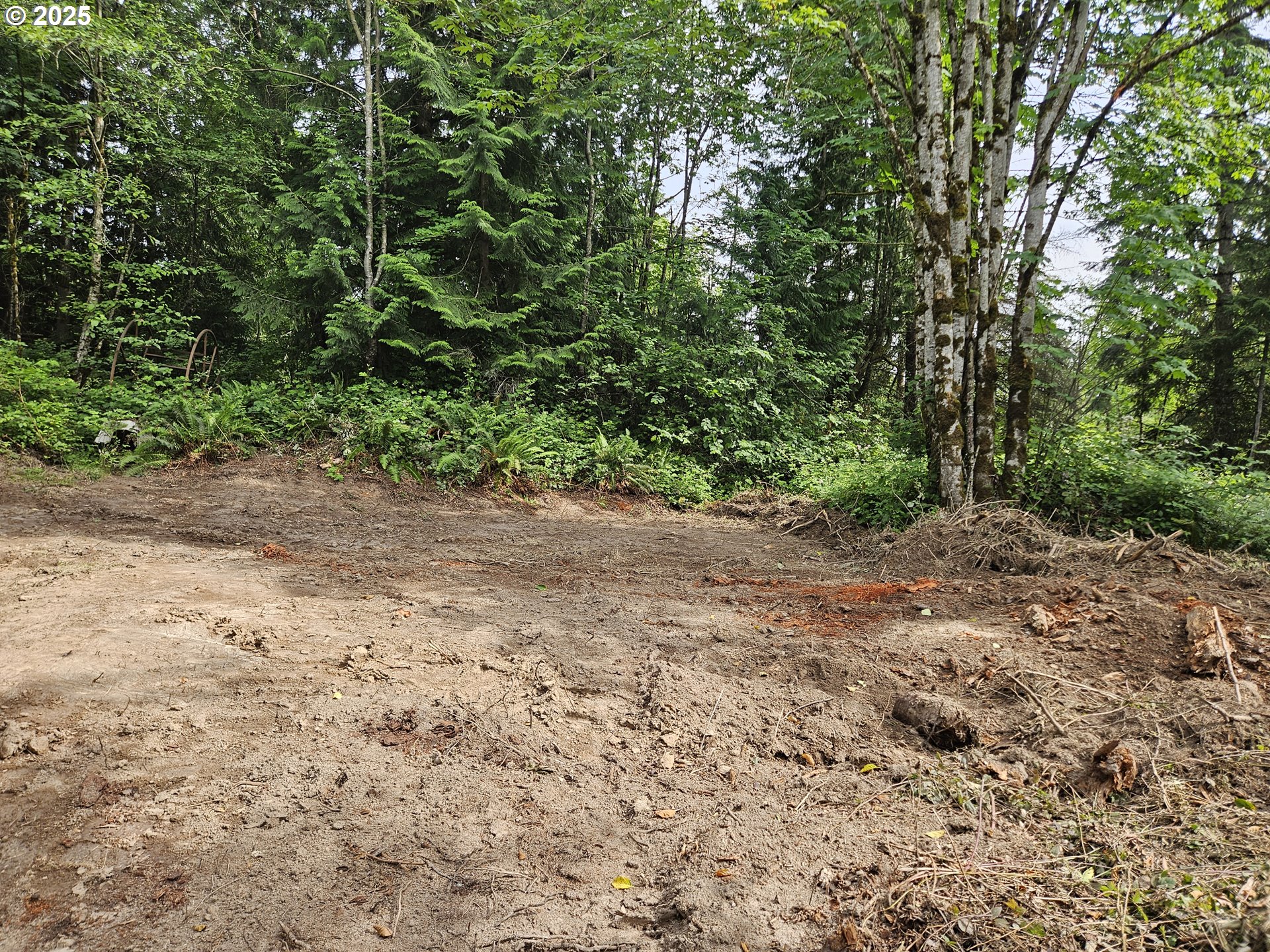 Tybren Heights Road Kelso, WA 98626 - Photo 22 of 28