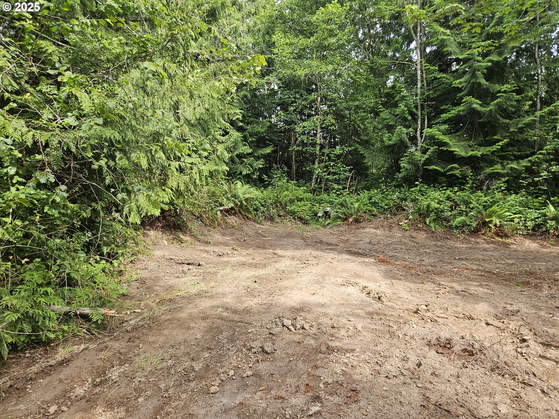 Tybren Heights Road Kelso, WA 98626 - Photo 23 of 28