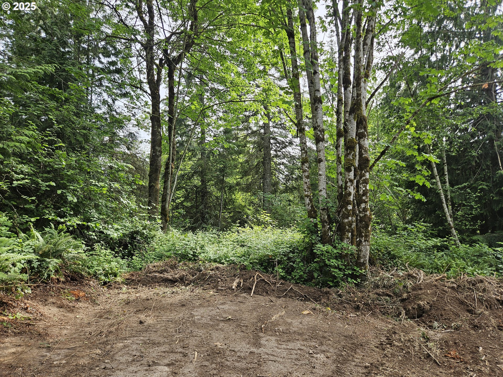 Tybren Heights Road Kelso, WA 98626 - Photo 24 of 28