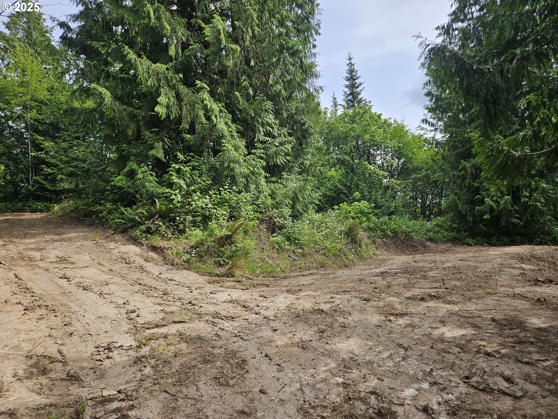 Tybren Heights Road Kelso, WA 98626 - Photo 27 of 28