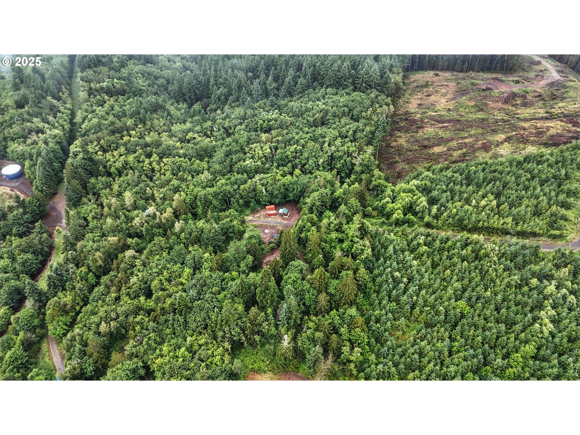 Tybren Heights Road Kelso, WA 98626 - Photo 10 of 28