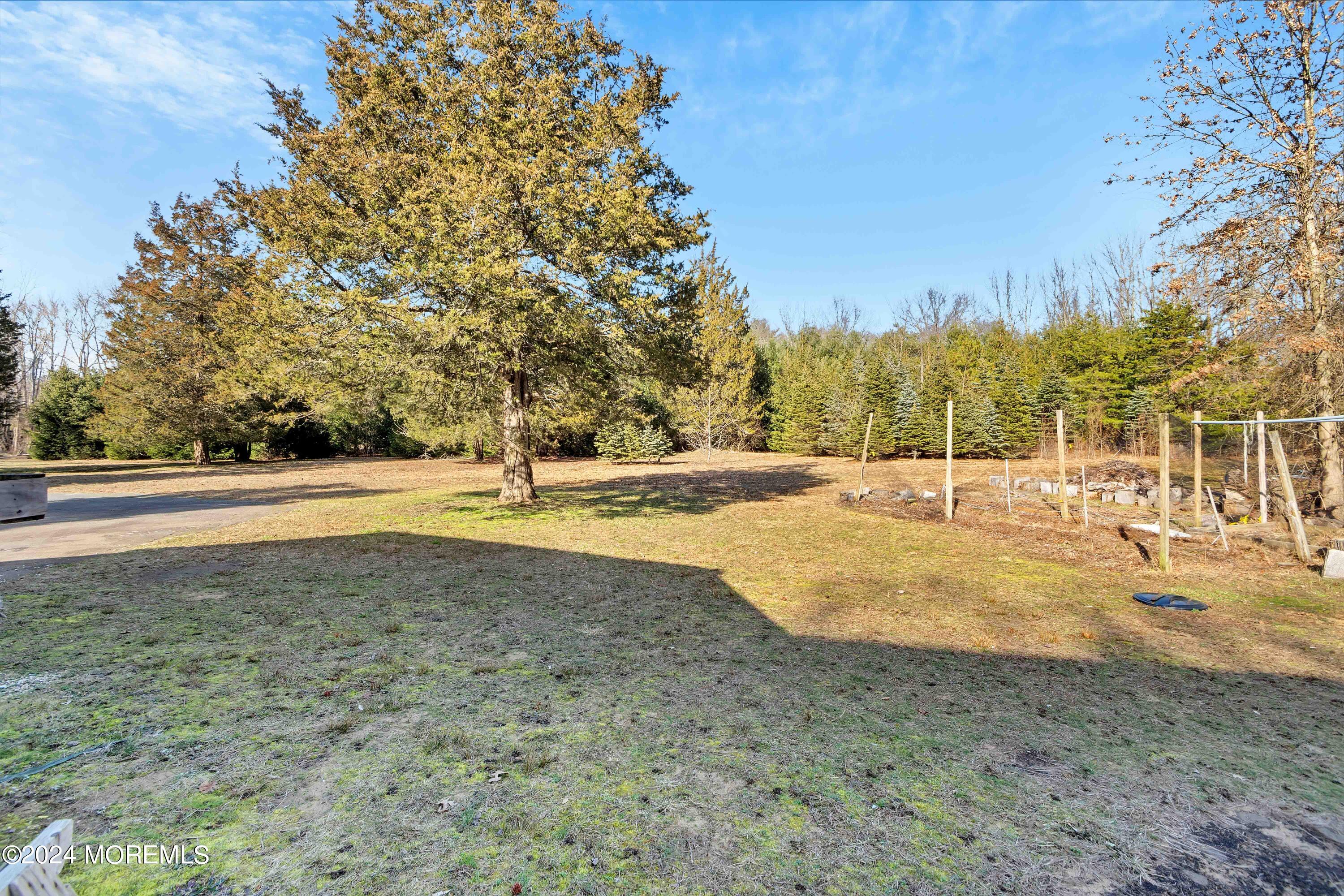 109 Crine Road Morganville, NJ 07751 - Photo 26 of 26 a view of yard with tree