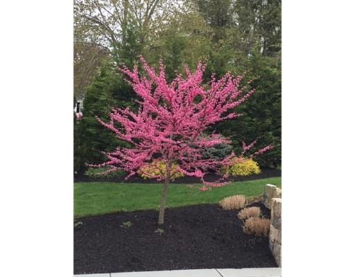 71 Fearing Road Hingham, MA 02043 - Photo 30 of 30