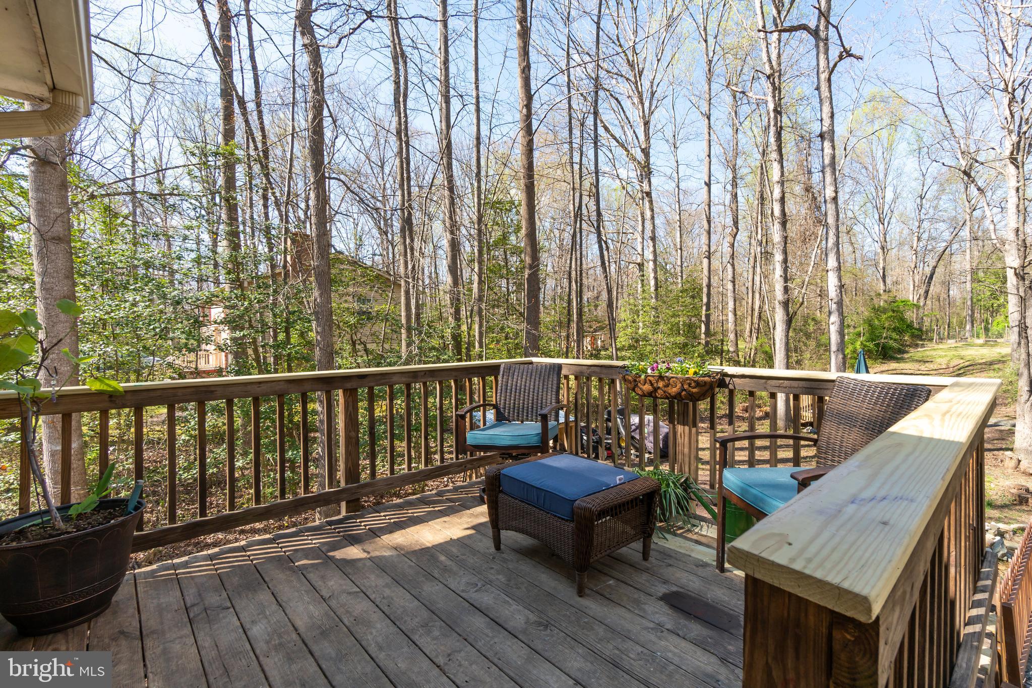 119 Fence Post Road Stafford, VA 22556 - Photo 22 of 30 Peaceful Wooded Views!