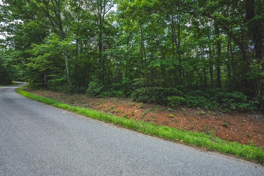 Tbd Lee Elgin Road, Unit 4817 97 F Woolwine, VA 24185 - Photo 8 of 10 Gallery Image 8