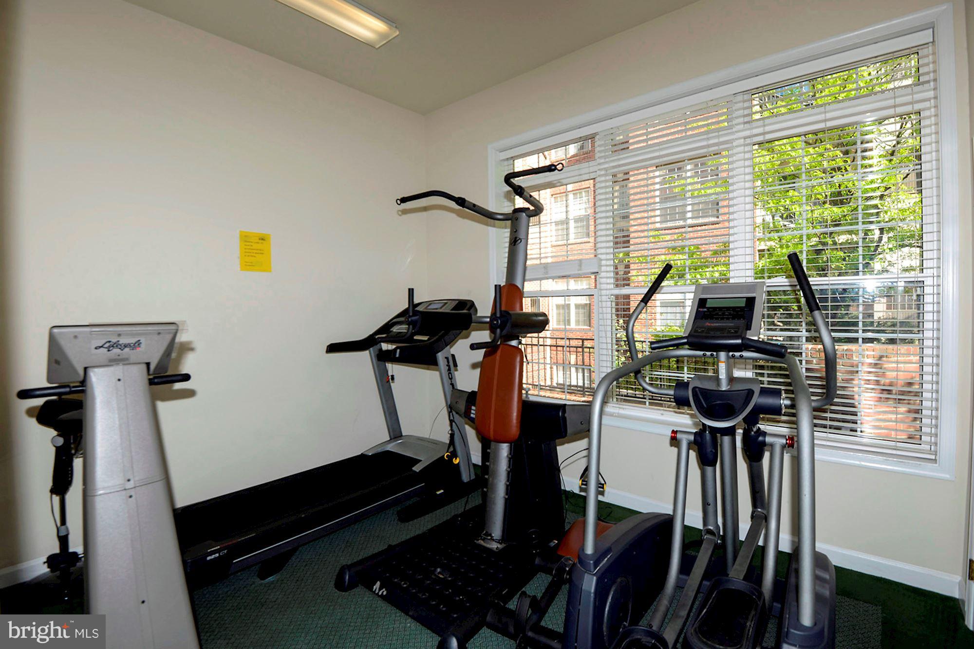 2310 14th Street North, Unit 108 Arlington, VA 22201 - Photo 20 of 22 a room with gym equipment and a large window