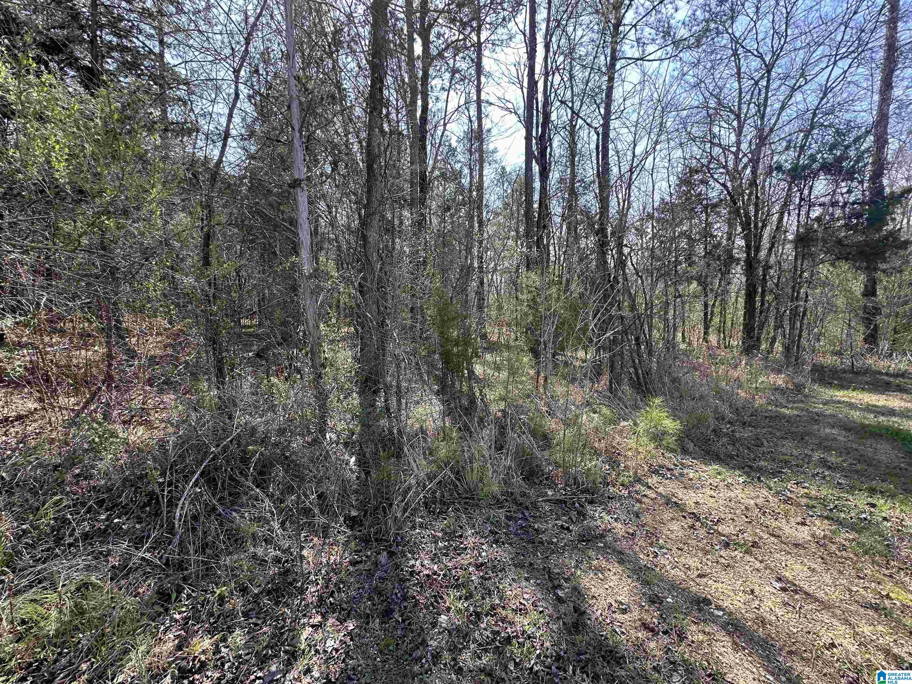 2560 Slasham Road Ashville, AL 35953 - Photo 70 of 77